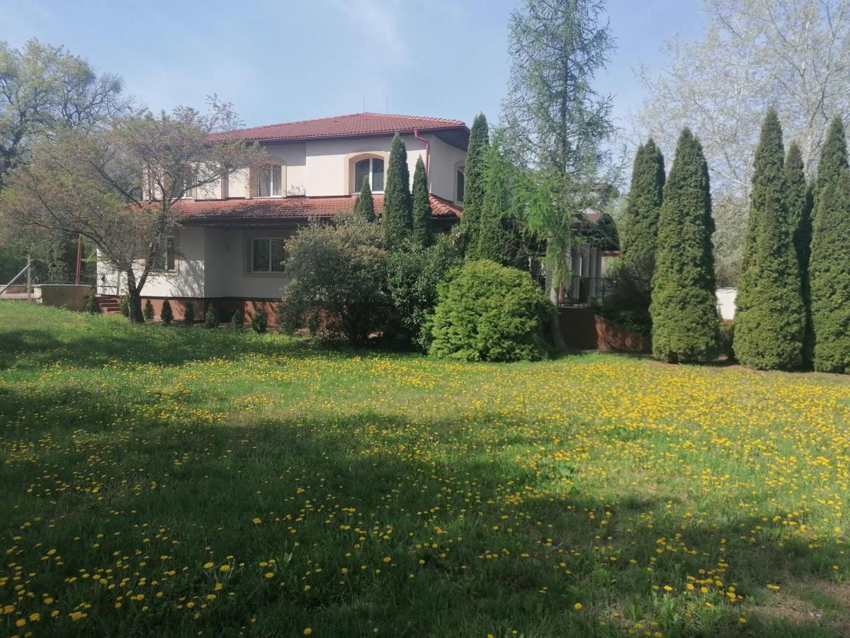 Staff Guest House Nyíregyháza Екстериор снимка